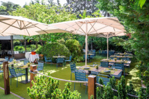 General jardín trasero, El Jardín de Arturo Soria (FILEminimizer)