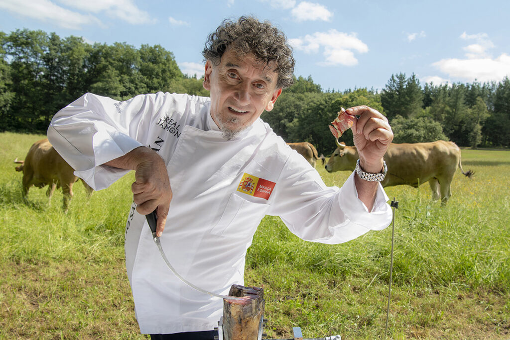 Gonzaba 47 Sanchidrián CM-MG NP