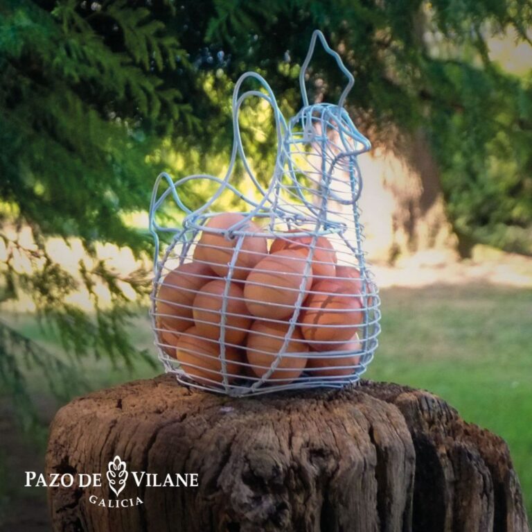 Pazo de Vilane (FILEminimizer)