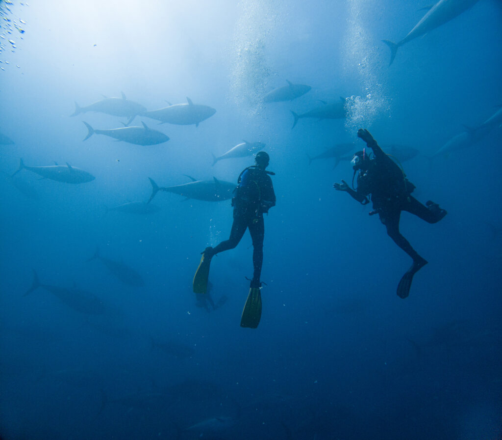 C:DCIM100GOPROGOPR1858.GPR