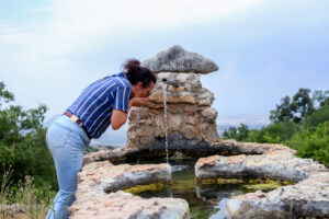 VAQUENA-ORIGEN (8) (FILEminimizer)