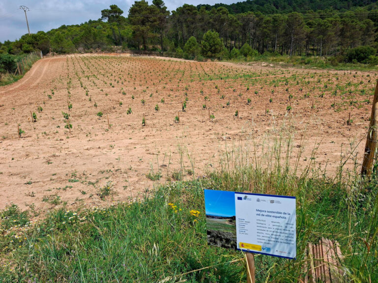 Viña Bodegas RODA VITELITE24 (FILEminimizer)