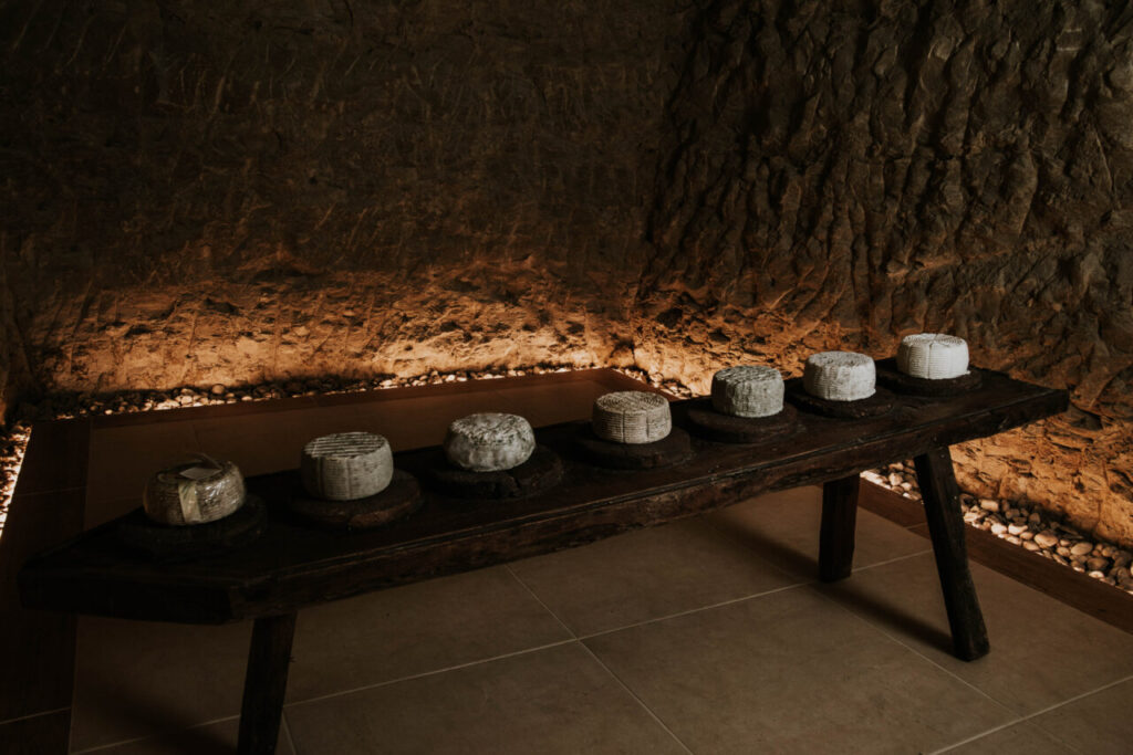 camerano con diferentes maduraciones