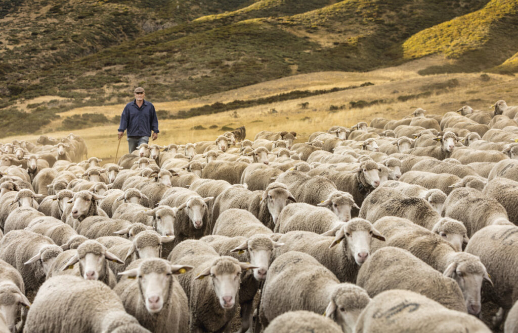 08-Leon2024-JoseBarea (FILEminimizer)