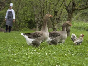 250421 Venta Moncalvillo granja 0039134 (FILEminimizer)