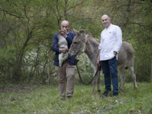 250421 Venta Moncalvillo granja Carlos Ignacio 0039366 (FILEminimizer)