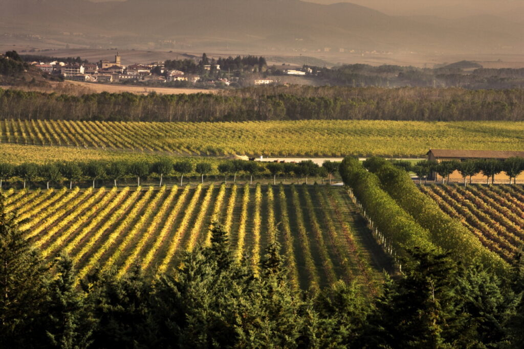 3269119052 bc3cd3da9d o