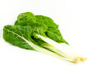 ACELGA 3 (FILEminimizer)