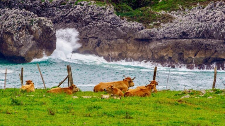 Asturias tiene un nuevo sabor (FILEminimizer)