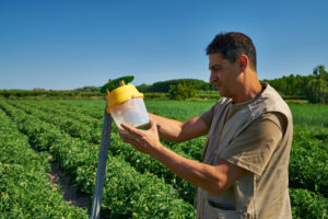 MUESTREO TOMATE PERA 1 (FILEminimizer)