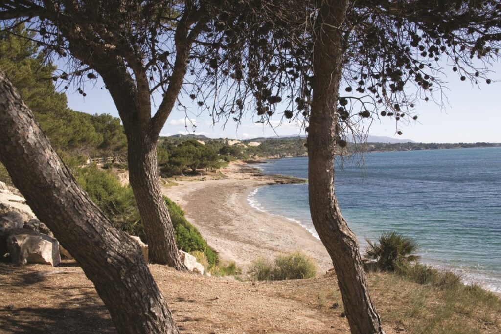 151126 2T3 IMG 4689 (1) (FILEminimizer)