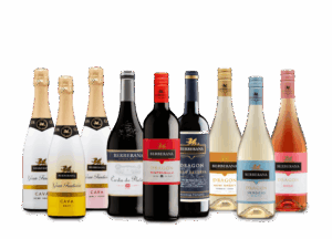 Bodegon-min-2048x1474 (FILEminimizer)