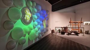 Cariñena Wine Museum