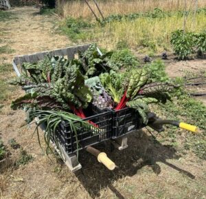 IMG 3733 (FILEminimizer)