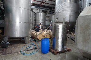 Terres del Ebre 042 (FILEminimizer)