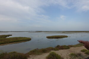 Terres del Ebre 161 (FILEminimizer)