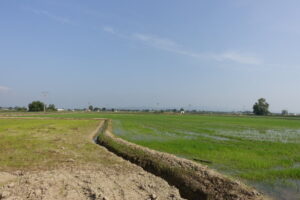 Terres del Ebre 169 (FILEminimizer)