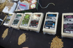 Terres del Ebre 175 (FILEminimizer)