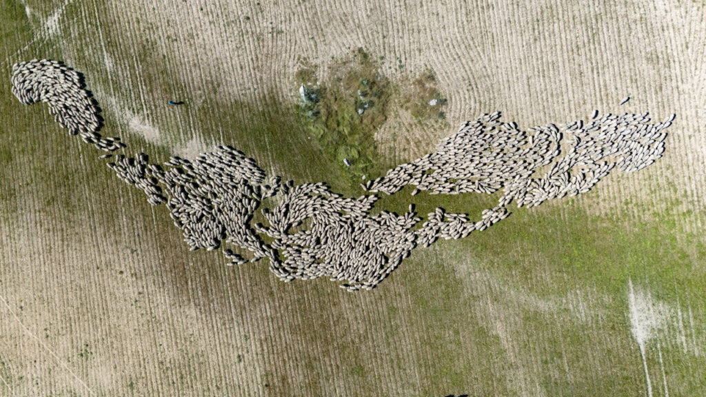 merinas (FILEminimizer)