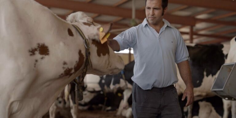 te lo agradece (FILEminimizer)