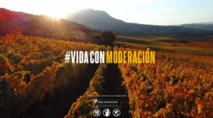 Viñedos al atardecer con el lema Vida con Moderación