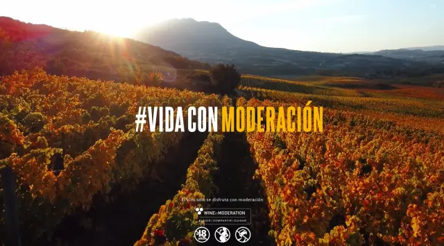 Viñedos al atardecer con el lema Vida con Moderación