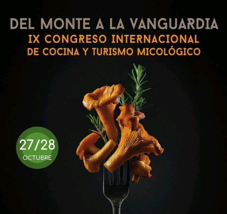 Cartel del IX Congreso Internacional de Cocina y Turismo Micológico en Soria