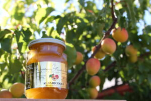 Tarro de mermelada de albaricoque con frutas de fondo