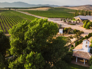 Vista aérea de viñedos y bodega en Finca Río Negro