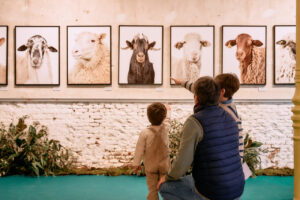 Familia observando fotografías de ovejas en una exposición