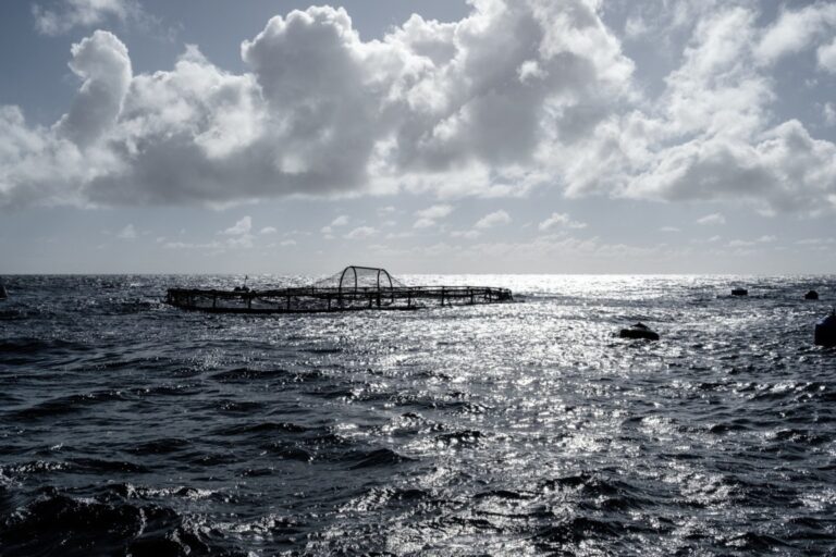 Vista del vivero Aquanaria en el mar abierto con nubes