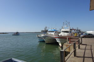 Vista del puerto y lonja de Isla Cristina con barcos pesqueros