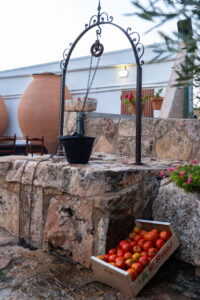 Pozo de agua con tomates frescos en la bodega Las Calzadas