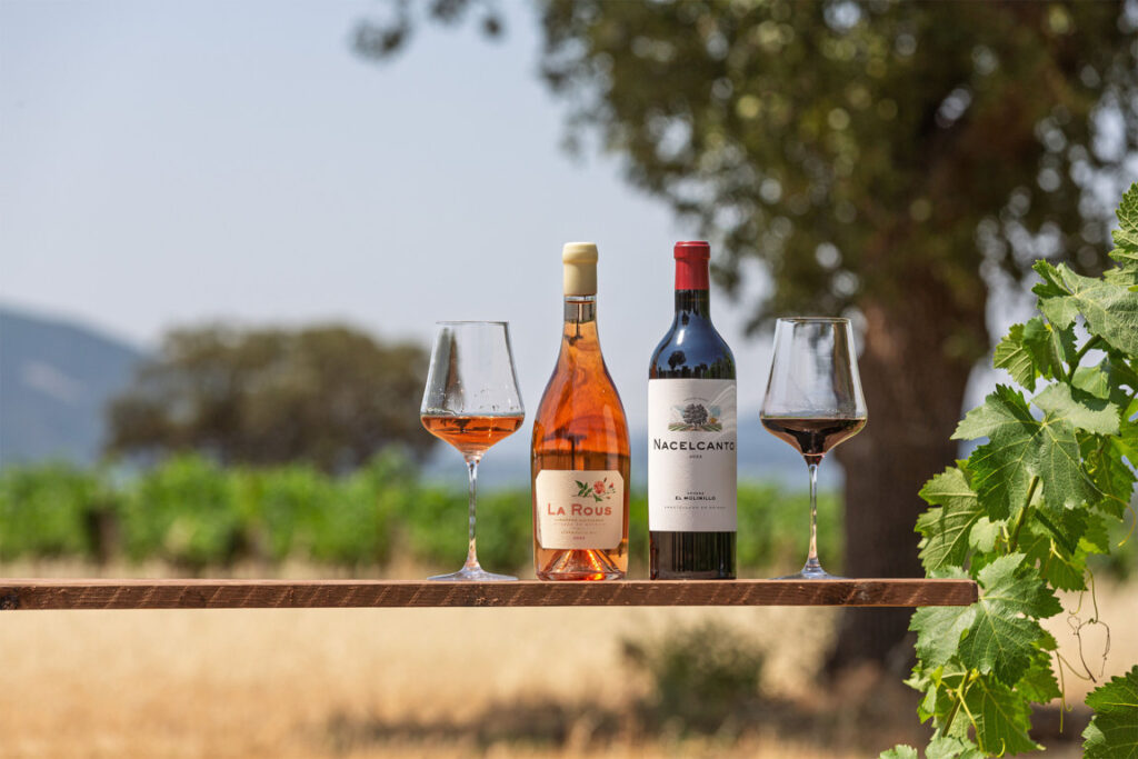 Botellas de vino La Rous y Nacelcanto en un viñedo