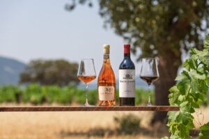 Botellas de vino La Rous y Nacelcanto en un viñedo
