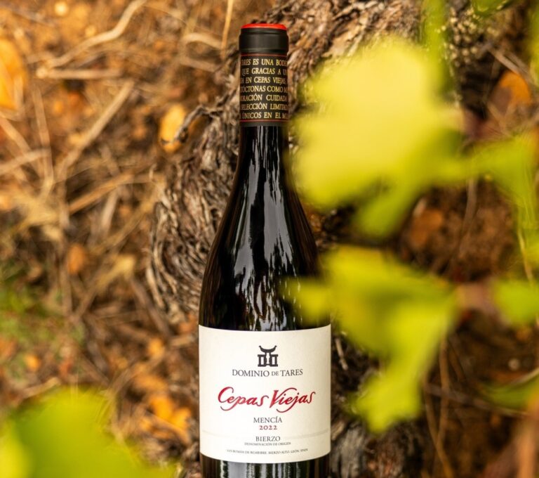 Botella de vino Cepas Viejas 2022 de Dominio de Tares en viñedo