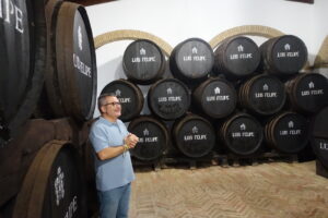 Visita a la bodega Luis Felipe en Huelva con barricas de vino