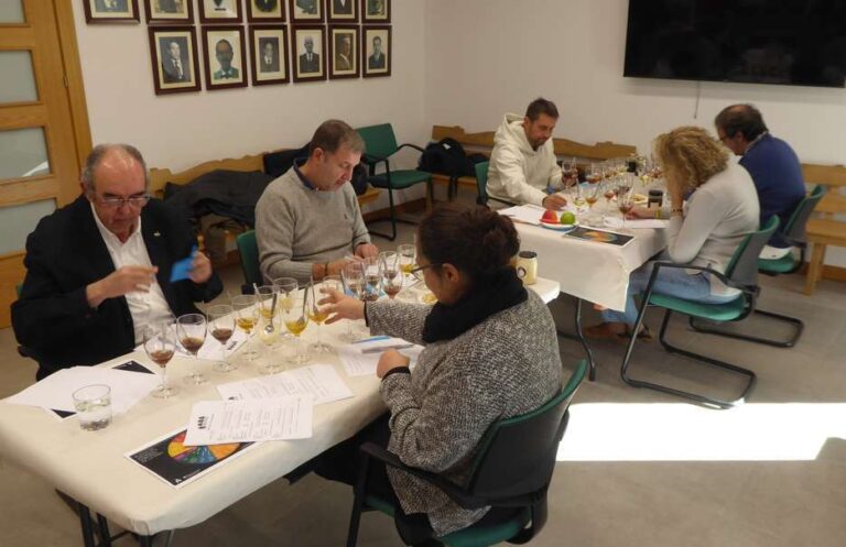 Jurado evaluando mieles en el concurso Mieladictos 2025