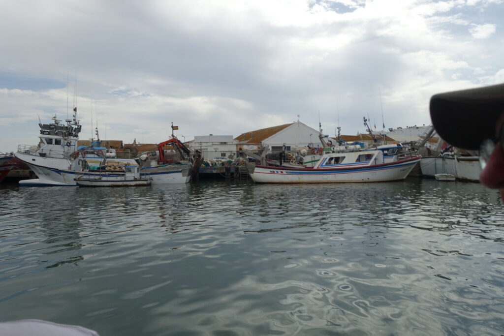 Vista del puerto y lonja de Isla Cristina en Huelva con barcos pesqueros