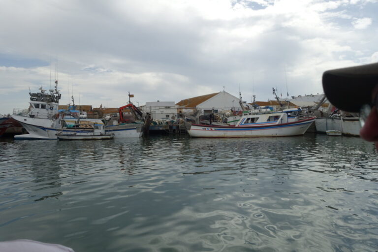 Vista del puerto y lonja de Isla Cristina en Huelva con barcos pesqueros