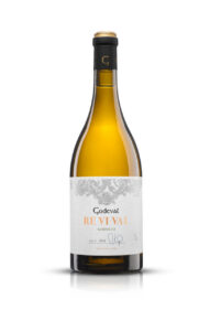 Botella de vino Godeval Re.Vi.Val 2023 con etiqueta distintiva