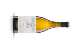 Botella de vino Godeval Re.Vi.Val 2023 con etiqueta distintiva