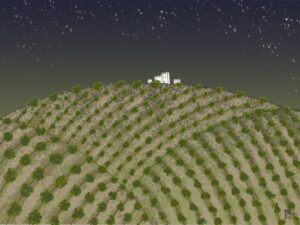 Dibujo de olivares bajo un cielo estrellado con una casa blanca