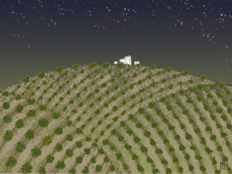 Dibujo de olivares bajo un cielo estrellado con una casa blanca