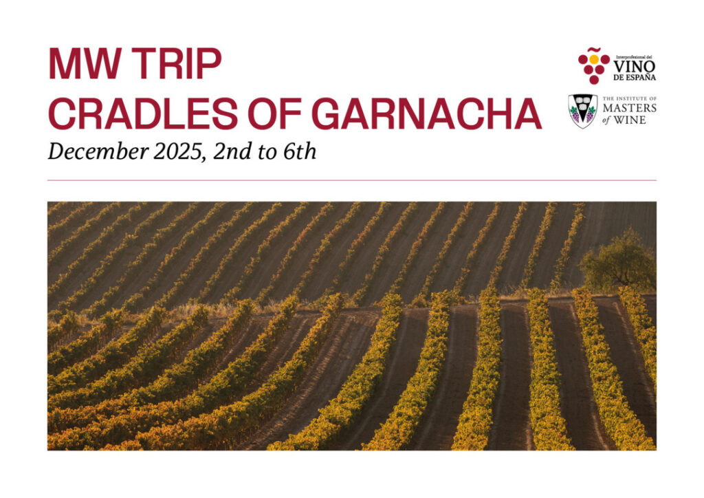 Viñedos de Garnacha en España durante el viaje de Masters of Wine