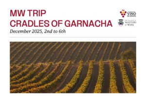 Viñedos de Garnacha en España durante el viaje de Masters of Wine