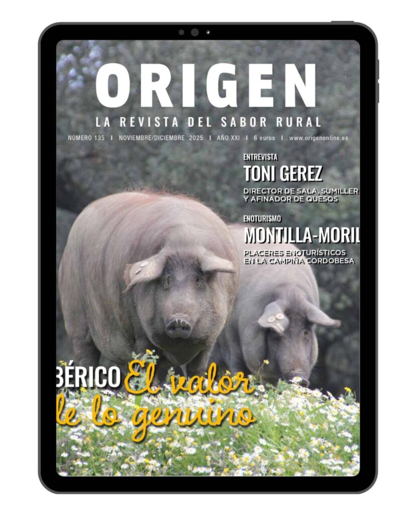 Portada de la revista Origen número 135 con cerdos ibéricos