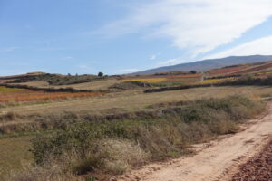 Vista de un paisaje rural en La Rioja con viñedos y montañas al fondo.