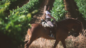 Persona montando a caballo entre viñedos en la Ruta del Vino Rueda