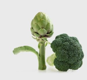 Brócoli y alcachofa frescos sobre fondo blanco